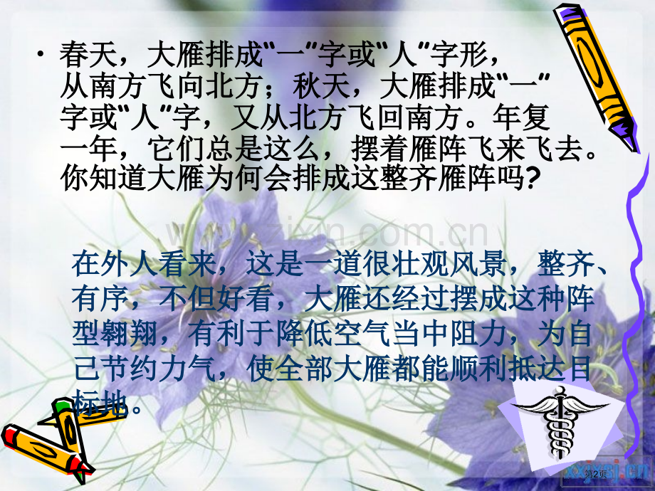 主题班会纪律省公共课一等奖全国赛课获奖课件.pptx_第2页