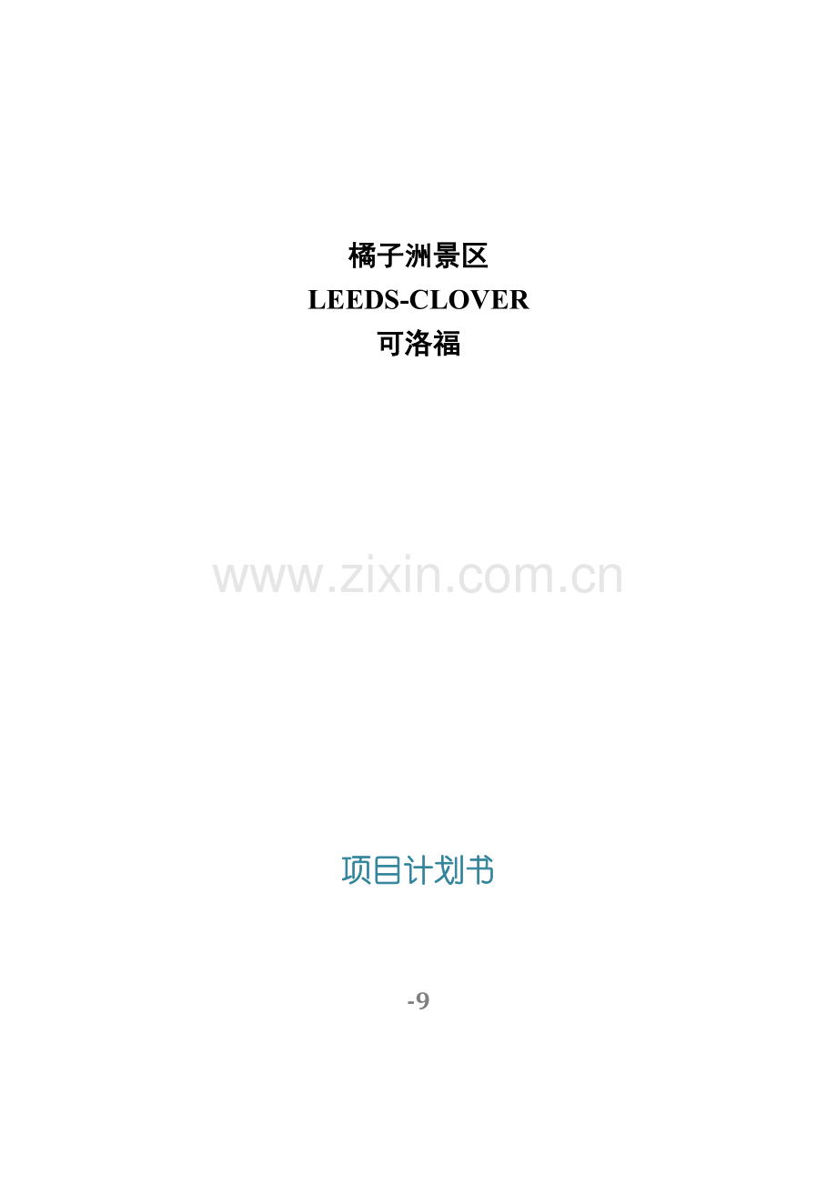 婚庆公司综合项目书.docx_第1页