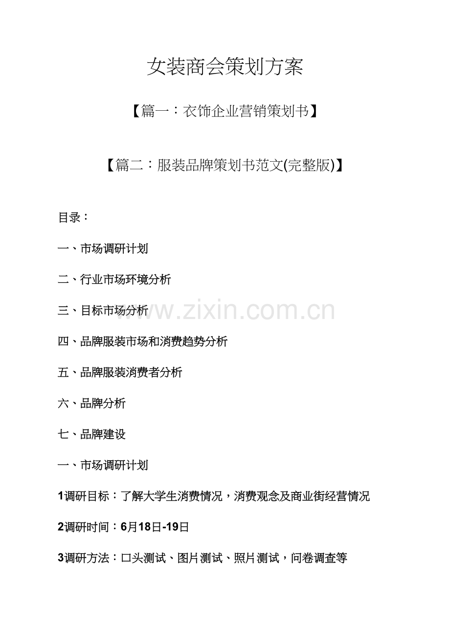 女装商会专业策划专项方案.docx_第1页