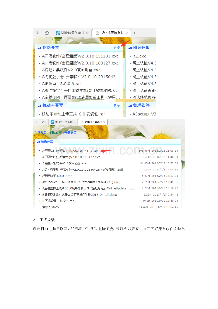 开票软件安装操作综合流程.doc_第2页