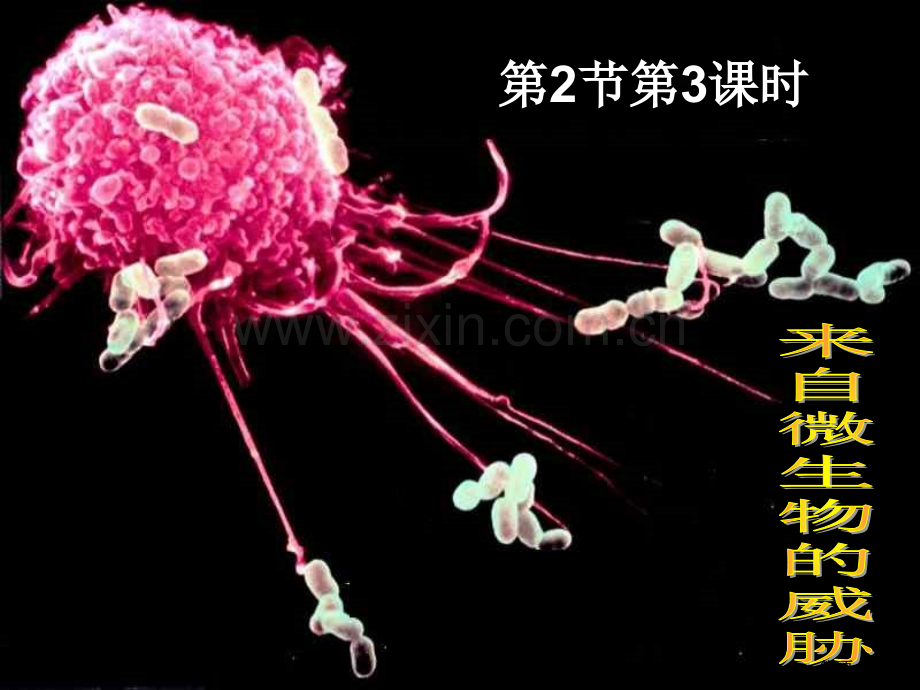 九年级科学来自微生物的威胁省公共课一等奖全国赛课获奖课件.pptx_第1页