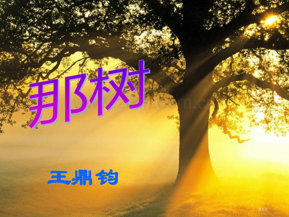 那树省公开课一等奖新名师优质课比赛一等奖课件.pptx_第1页