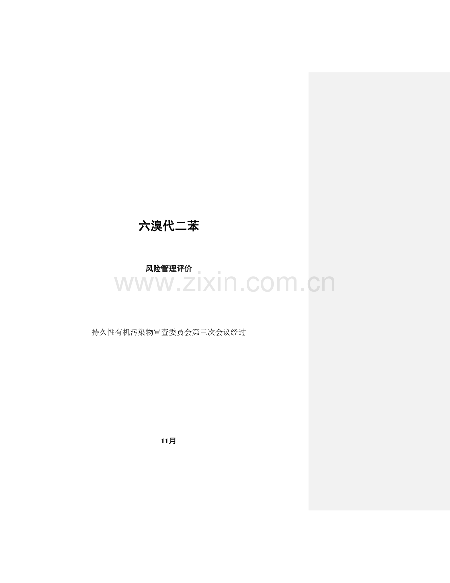 六溴代二苯风险管理执行手册模板.doc_第2页