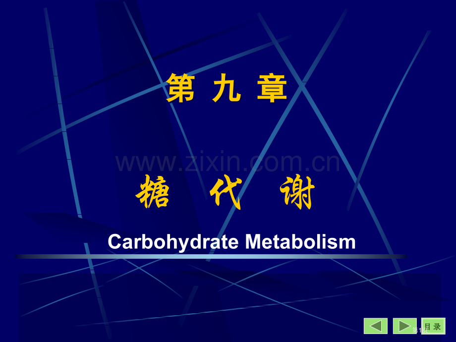 生物化学与分子生物学八课件0市公开课一等奖百校联赛特等奖课件.pptx_第1页
