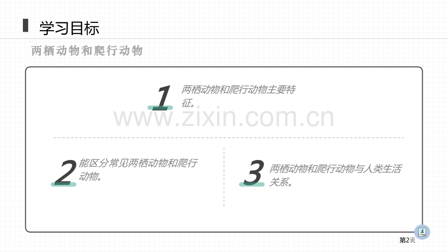两栖动物和爬行动物省公开课一等奖新名师比赛一等奖课件.pptx_第2页