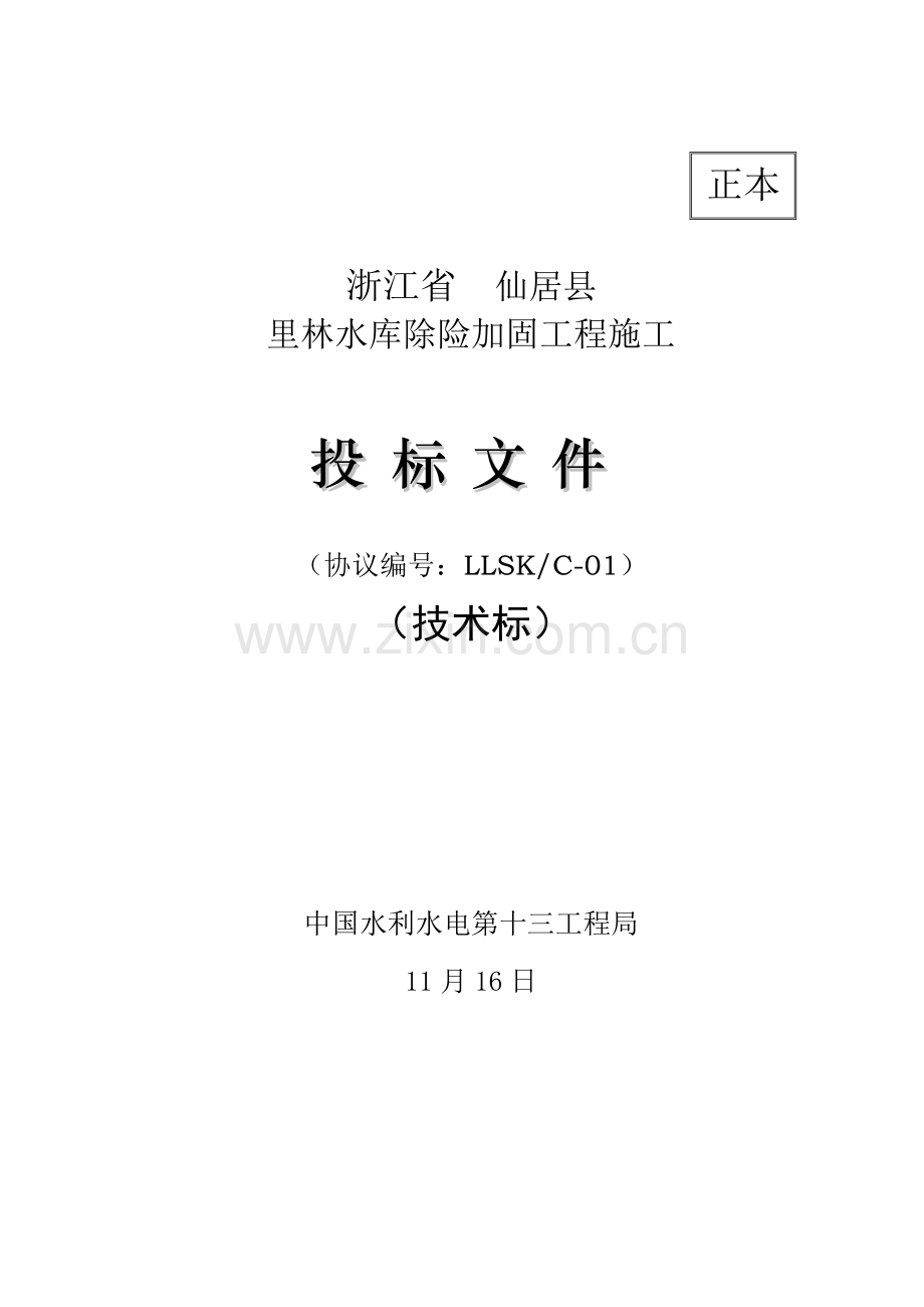 水库除险加固工程施工投标文件模板.doc_第2页