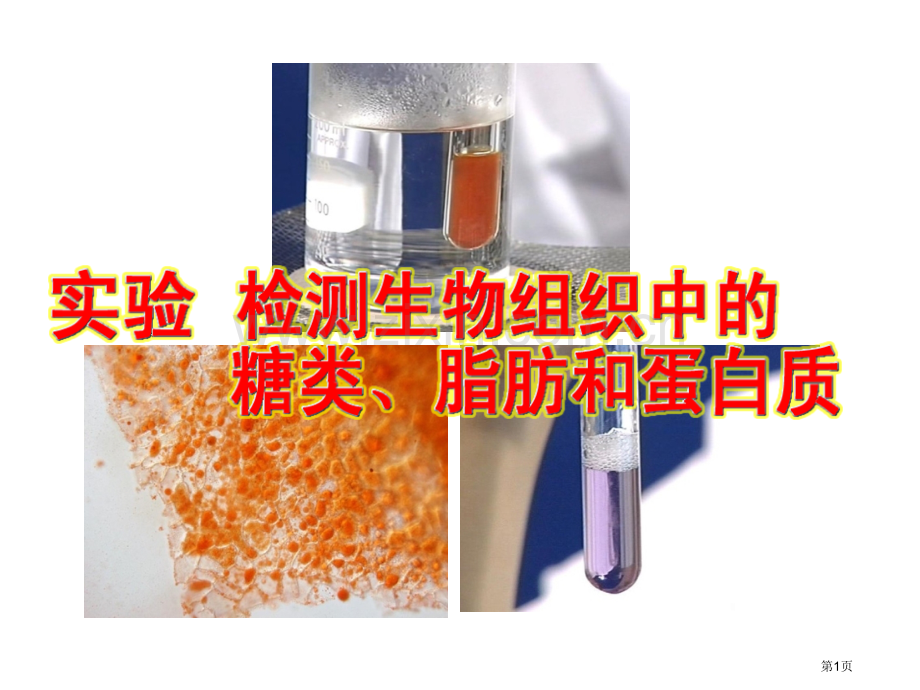 生物人教版必修一实验检测生物组织中的糖类蛋白质脂肪省公共课一等奖全国赛课获奖课件.pptx_第1页