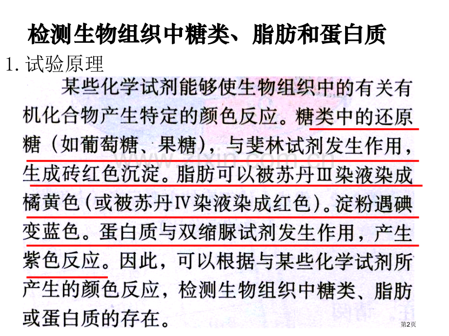 生物人教版必修一实验检测生物组织中的糖类蛋白质脂肪省公共课一等奖全国赛课获奖课件.pptx_第2页