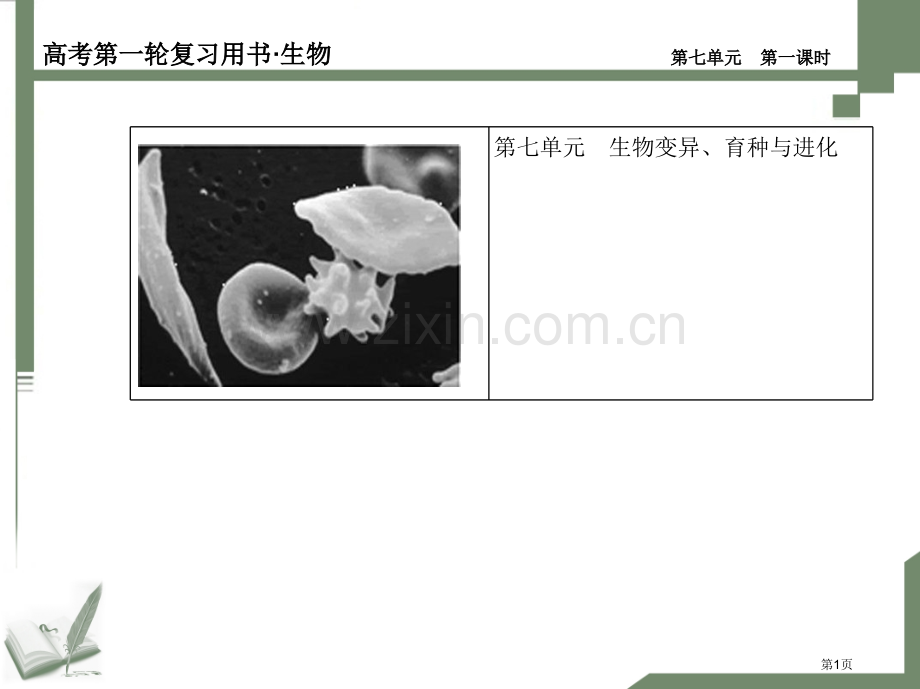 生物的变异育种和进化复习时省公共课一等奖全国赛课获奖课件.pptx_第1页