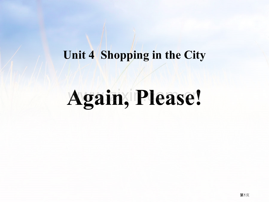 Again-Please!Shopping-in-the-City-省公开课一等奖新名师优质课比赛一.pptx_第1页
