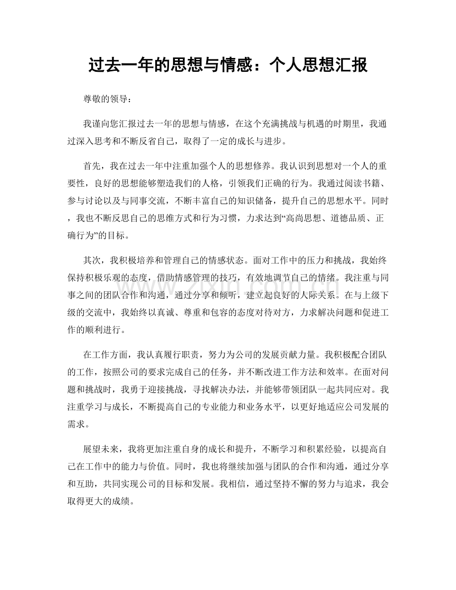过去一年的思想与情感：个人思想汇报.docx_第1页