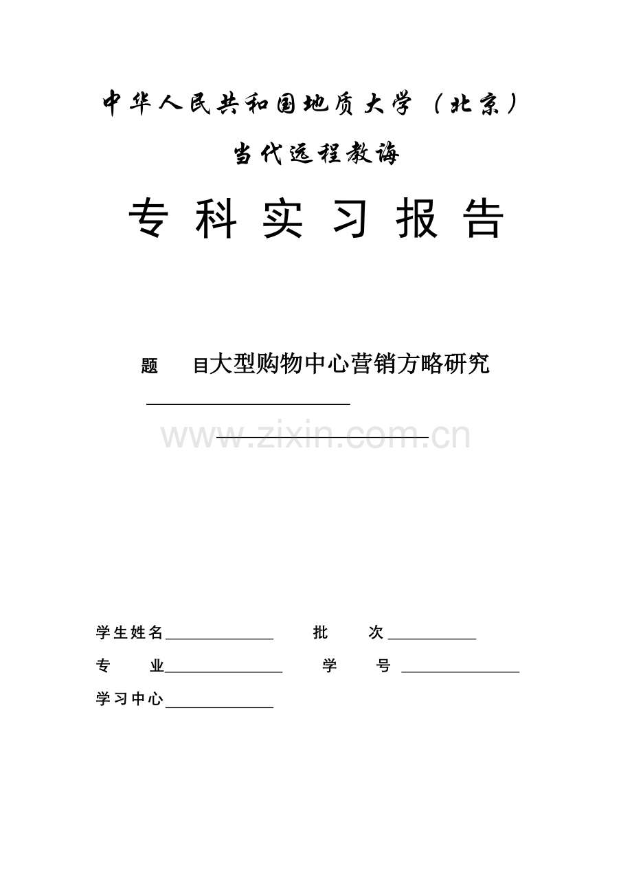 大型购物中心营销策略研究应用.doc_第1页