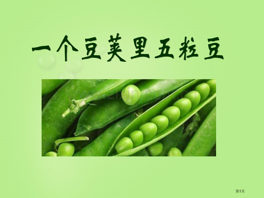一个豆荚里的五粒豆省公开课一等奖新名师优质课比赛一等奖课件.pptx_第1页