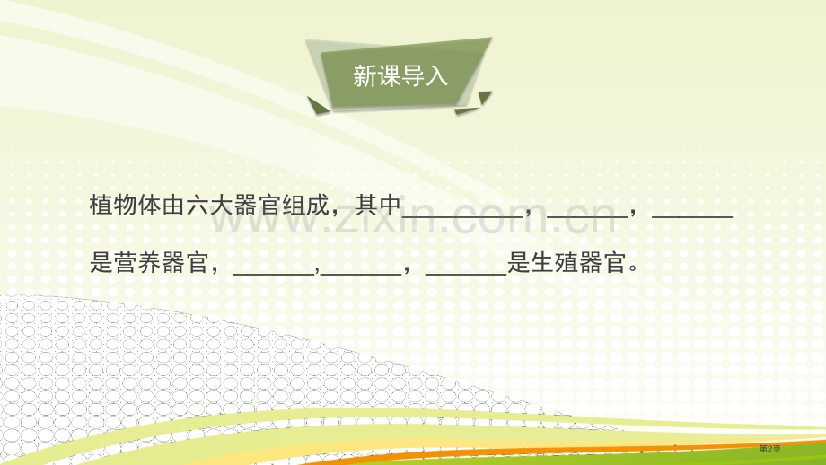 生殖器官的生长教学课件省公开课一等奖新名师优质课比赛一等奖课件.pptx_第2页