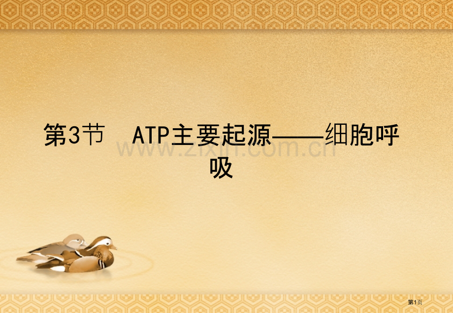 人教版教学ATP的主要来源细胞呼吸(0001)省公共课一等奖全国赛课获奖课件.pptx_第1页