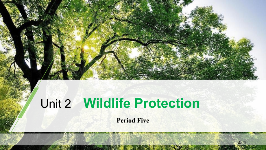 Wildlife-ProtectionPeriod-Five-.pptx_第1页