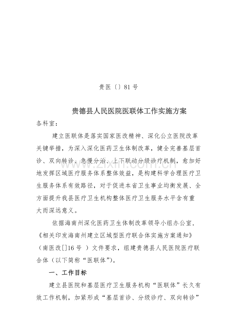 医联体实施专业方案.doc_第1页