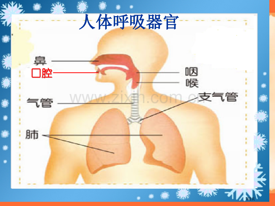 我们的呼吸省公开课一等奖新名师比赛一等奖课件.pptx_第2页