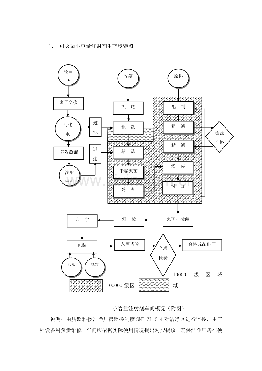 小容量注射剂生产工艺模板.doc_第2页