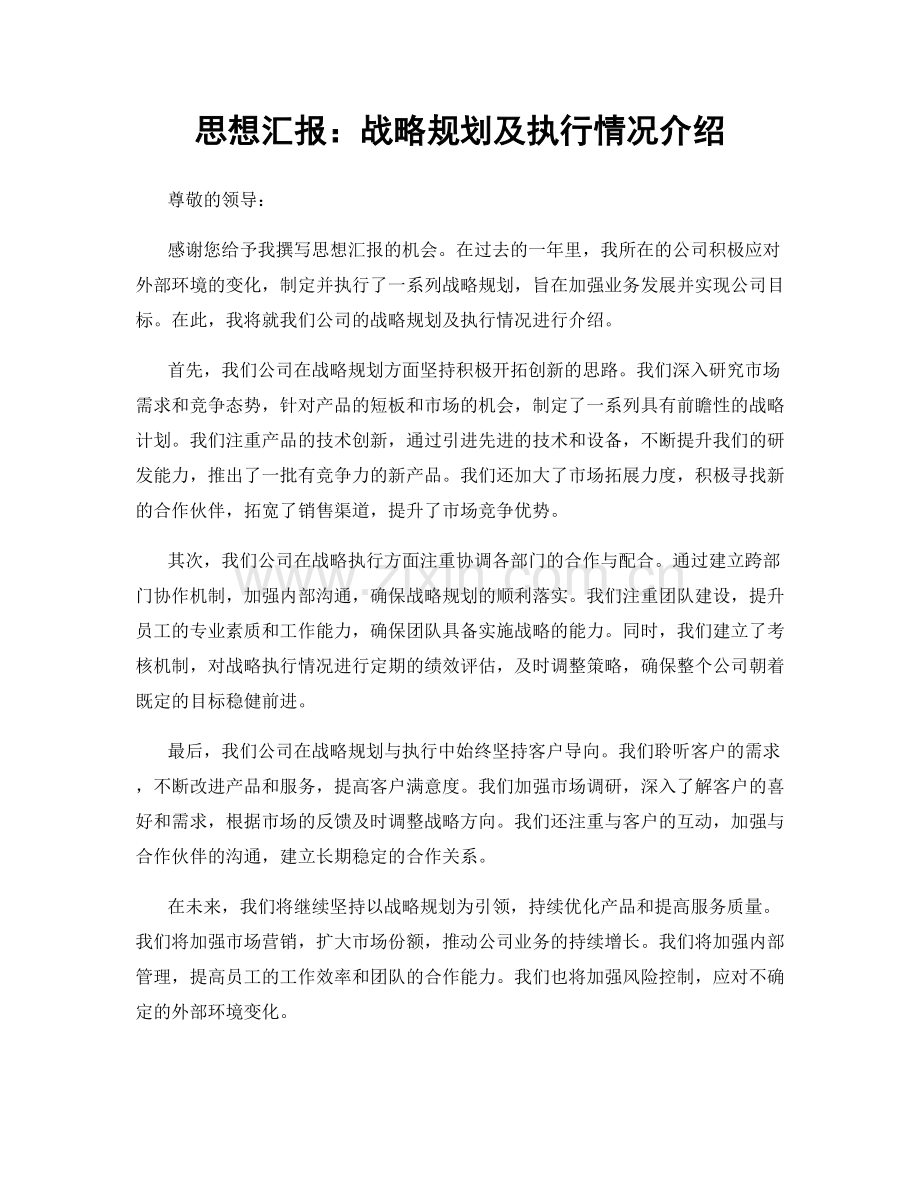 思想汇报：战略规划及执行情况介绍.docx_第1页