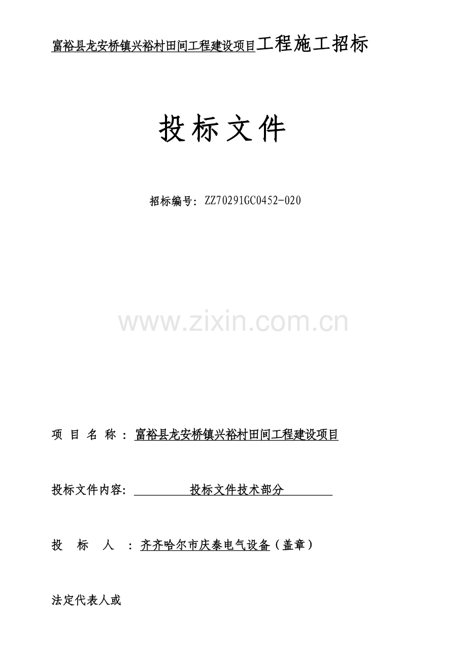 田间工程建设项目投标文件模板.docx_第1页