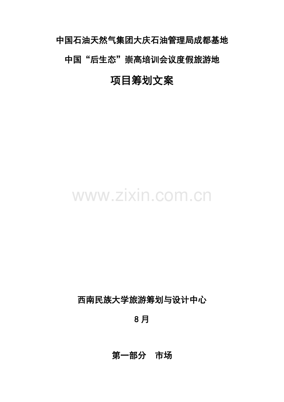 企业专项项目专题策划专题方案.docx_第2页
