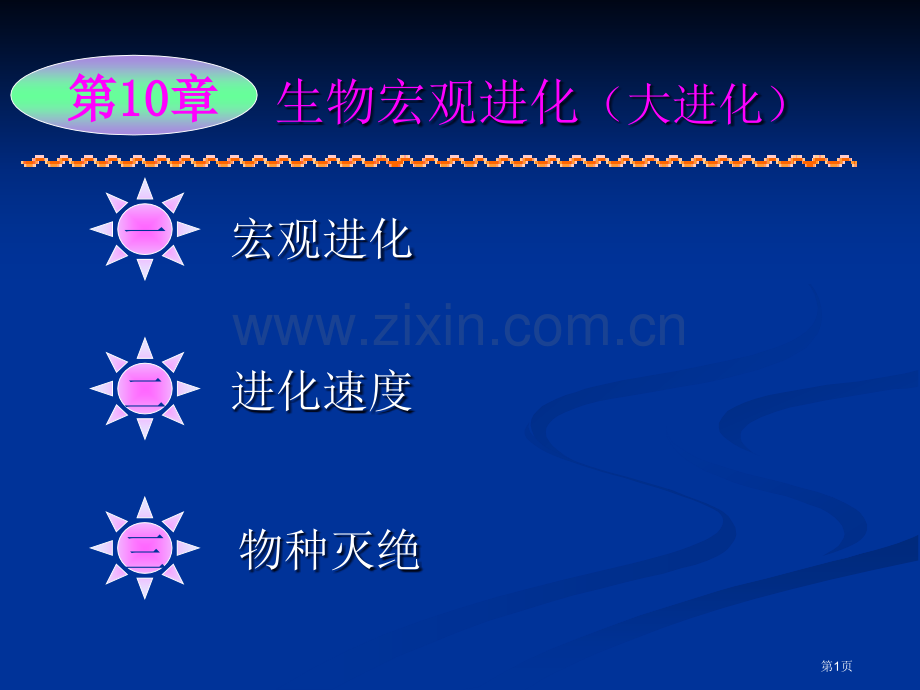 生物的宏观进化省公共课一等奖全国赛课获奖课件.pptx_第1页