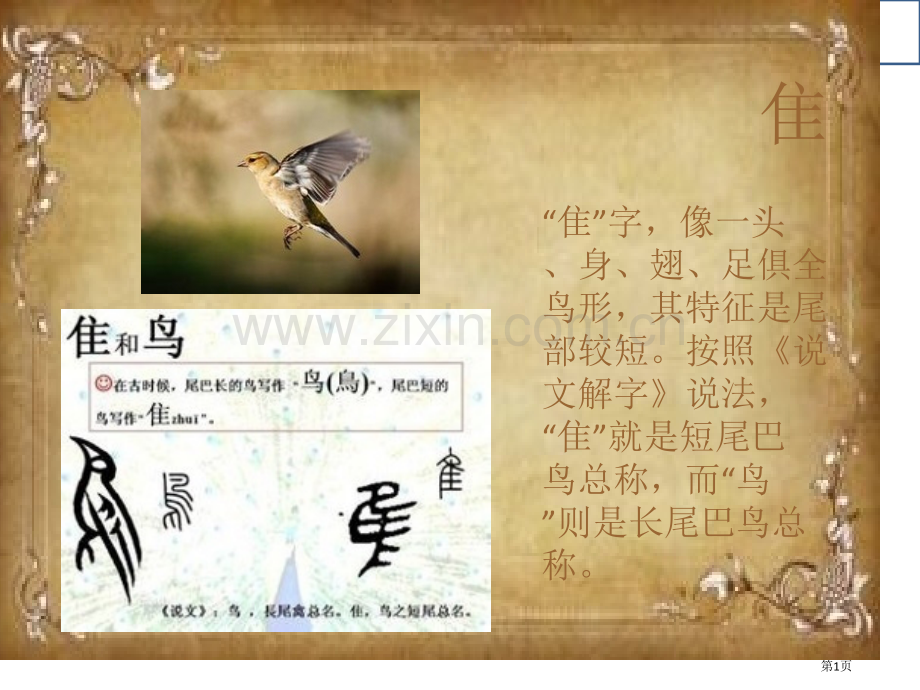 传统文化教育之汉字由来隹市公开课一等奖百校联赛获奖课件.pptx_第1页