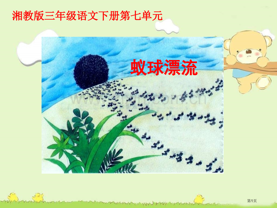 湘教版三年级下册蚁球漂流课件市公开课一等奖百校联赛特等奖课件.pptx_第1页