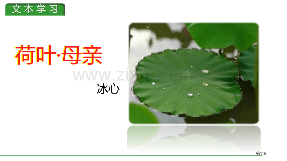 荷叶·母亲课件省公开课一等奖新名师比赛一等奖课件.pptx_第1页