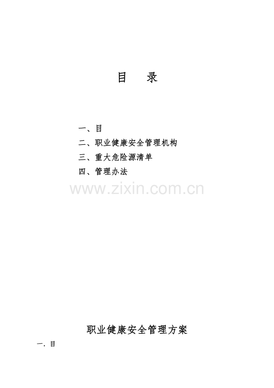 职业健康安全管理专项方案.doc_第1页