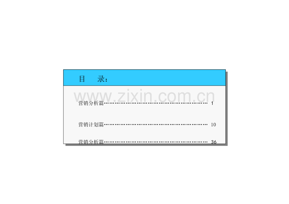 赛格营销推广策划方案模板.doc_第2页