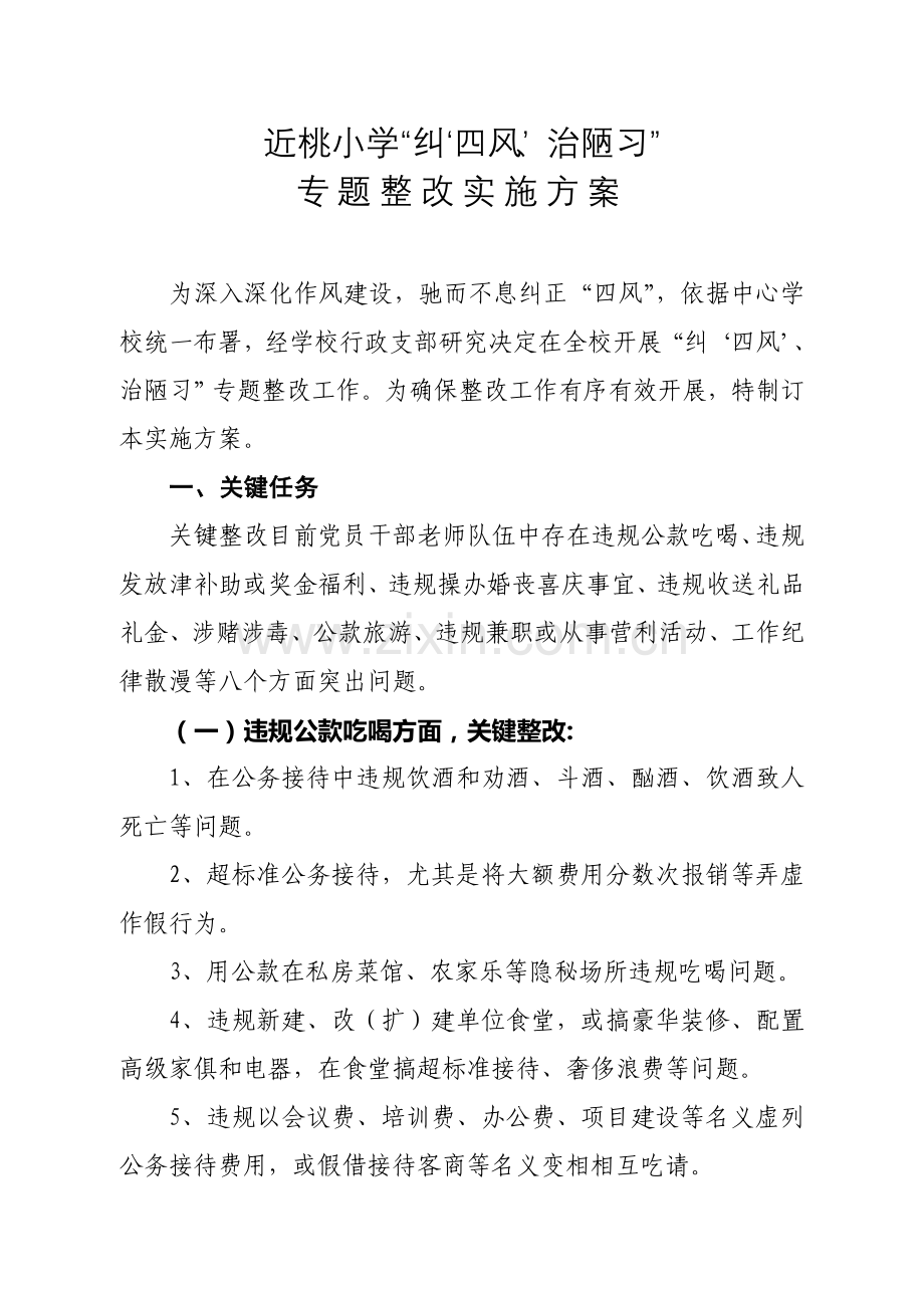 纠四风治陋习专项整治实施专业方案.doc_第1页