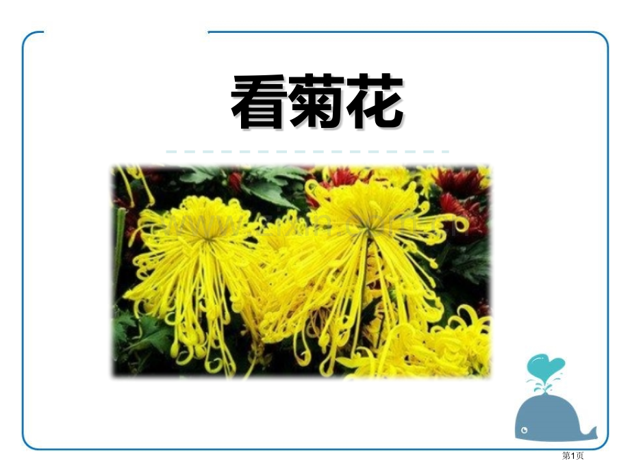 看菊花省公开课一等奖新名师比赛一等奖课件.pptx_第1页