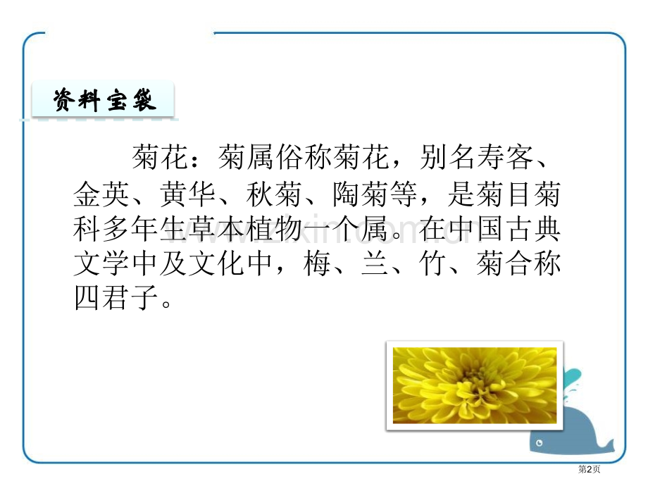 看菊花省公开课一等奖新名师比赛一等奖课件.pptx_第2页
