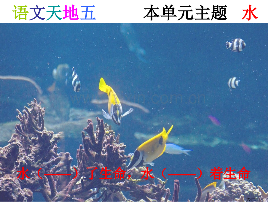 语文天地五北师大版五年级上省公共课一等奖全国赛课获奖课件.pptx_第1页