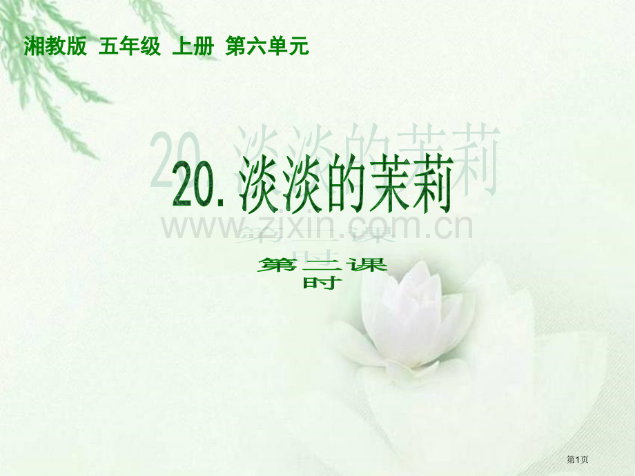 湘教版五年级上册淡淡的茉莉课件市公开课一等奖百校联赛特等奖课件.pptx_第1页
