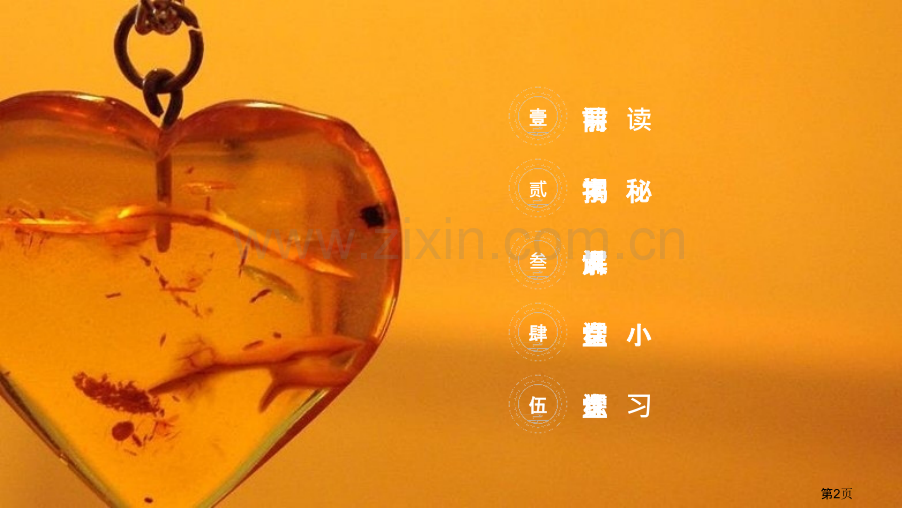 琥珀省公开课一等奖新名师比赛一等奖课件.pptx_第2页