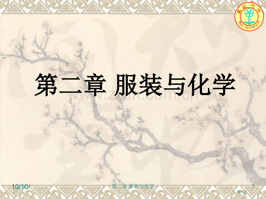 服装与化学学生省公共课一等奖全国赛课获奖课件.pptx_第1页