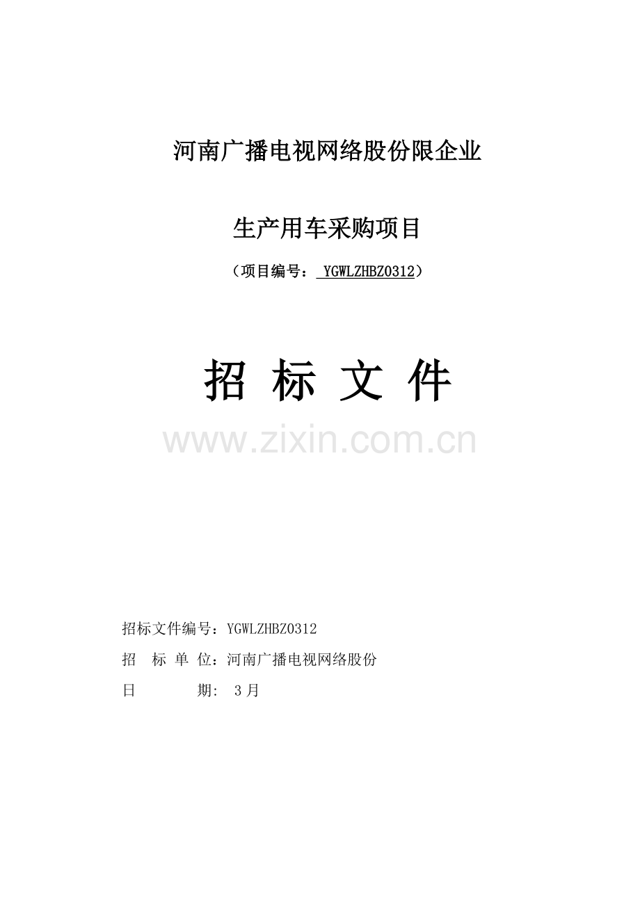 网络股份限公司生产用车采购项目招标文件模板.doc_第1页