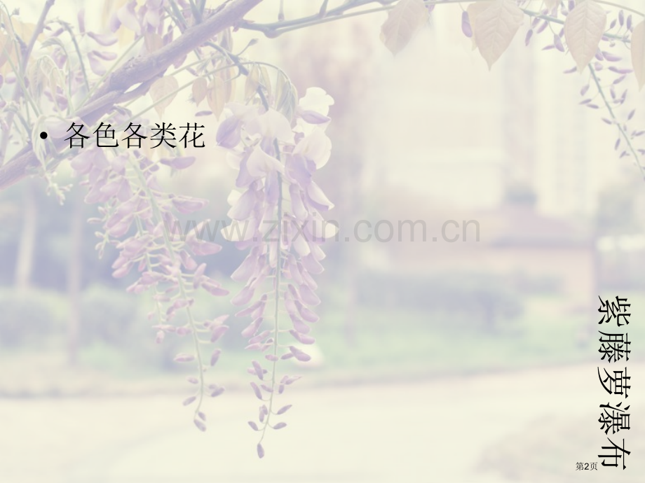 紫藤萝瀑布课件省公共课一等奖全国赛课获奖课件.pptx_第2页