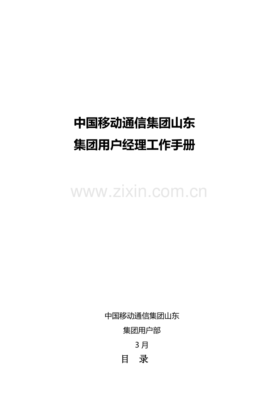集团客户经理工作手册模板.doc_第1页