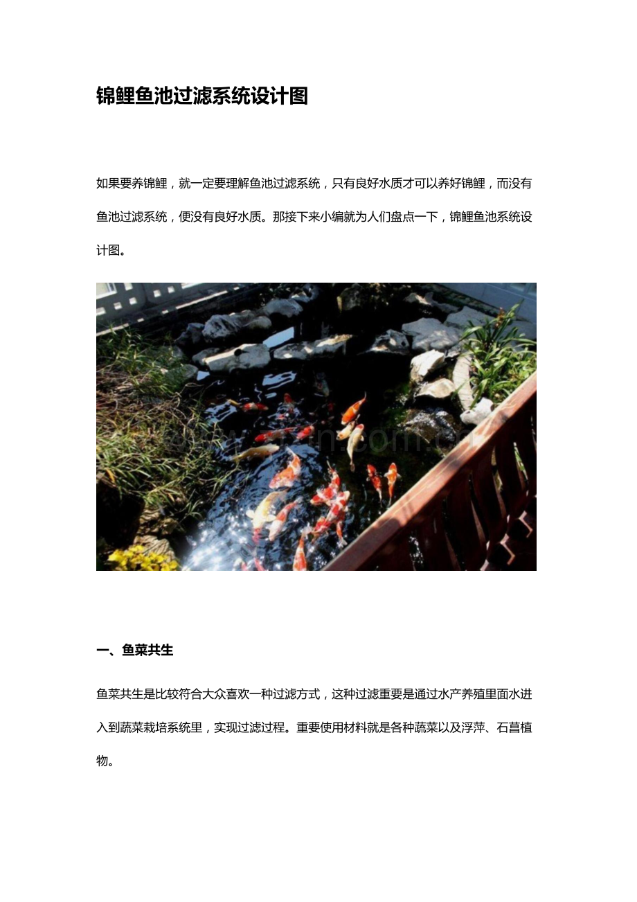 锦鲤鱼池过滤专业系统设计图.doc_第1页