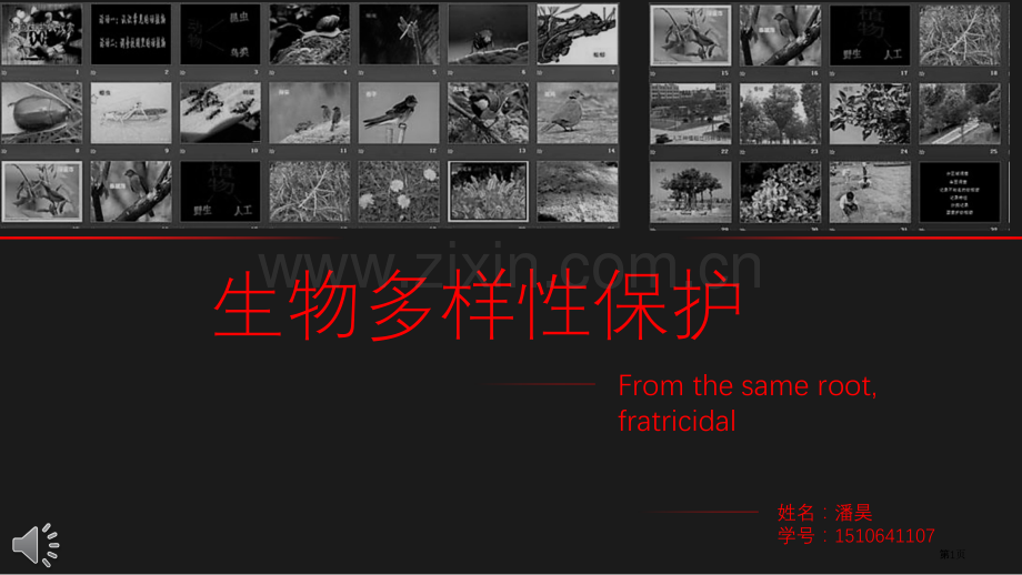 生物多样性的保护省公共课一等奖全国赛课获奖课件.pptx_第1页