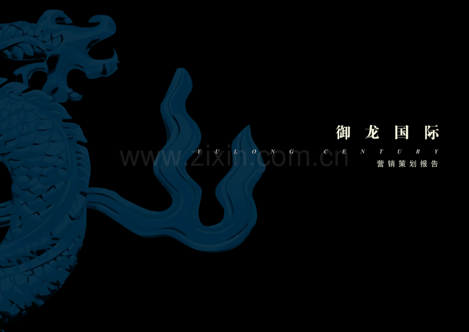 江苏盐城阜宁鱼龙湾御龙国际项目营销策划报告样本.doc_第1页