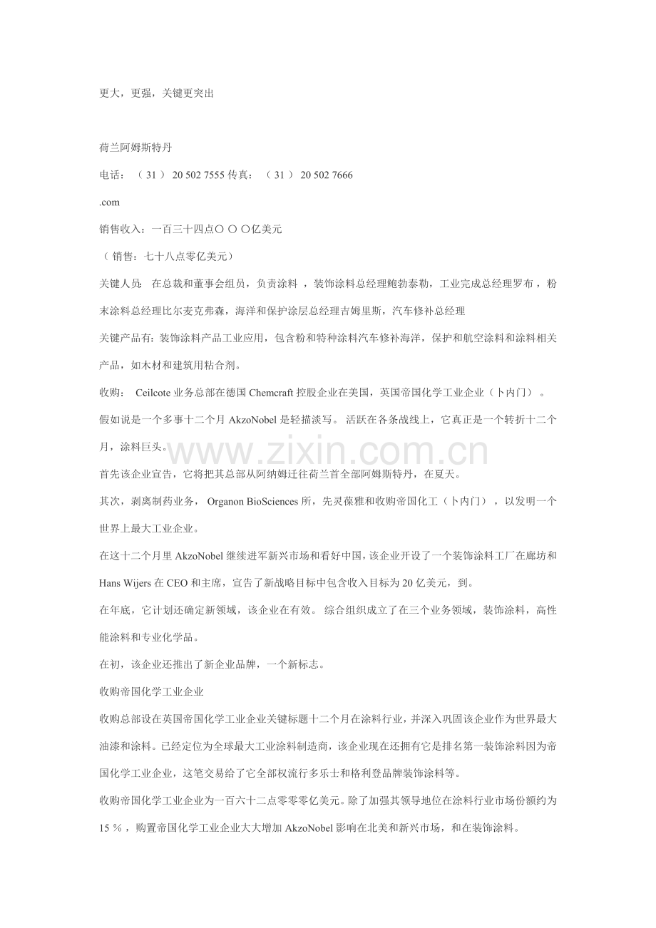 新版世界十大涂料品牌公司年度报告模板.doc_第2页