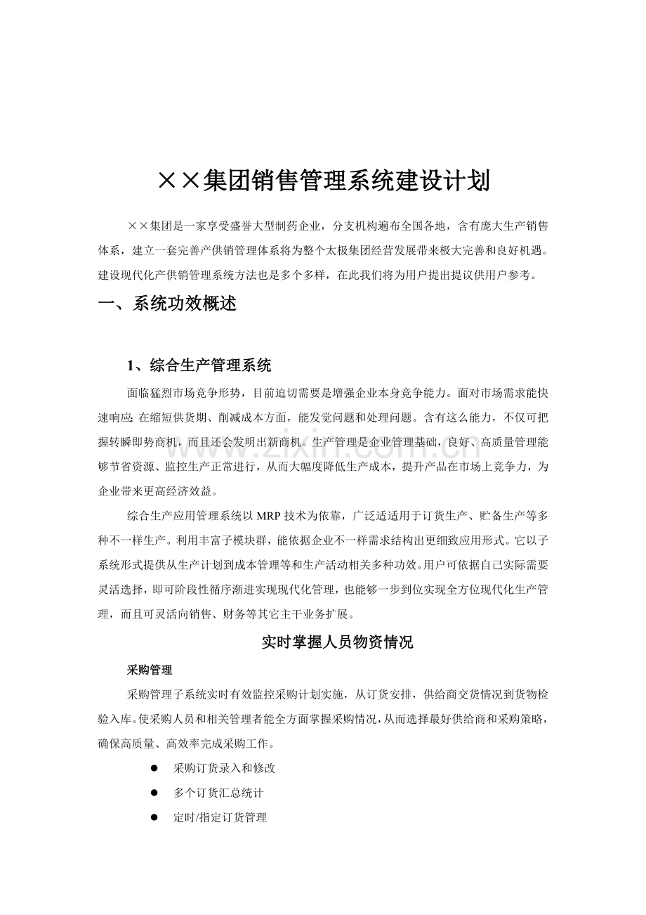 集团销售管理系统建设规划模板.doc_第1页