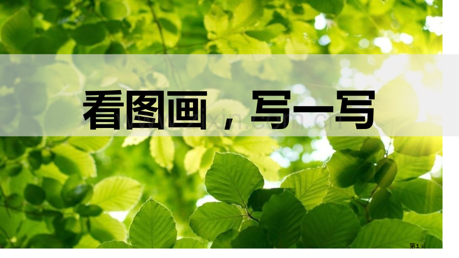 看图画-写作文课件省公开课一等奖新名师比赛一等奖课件.pptx_第1页