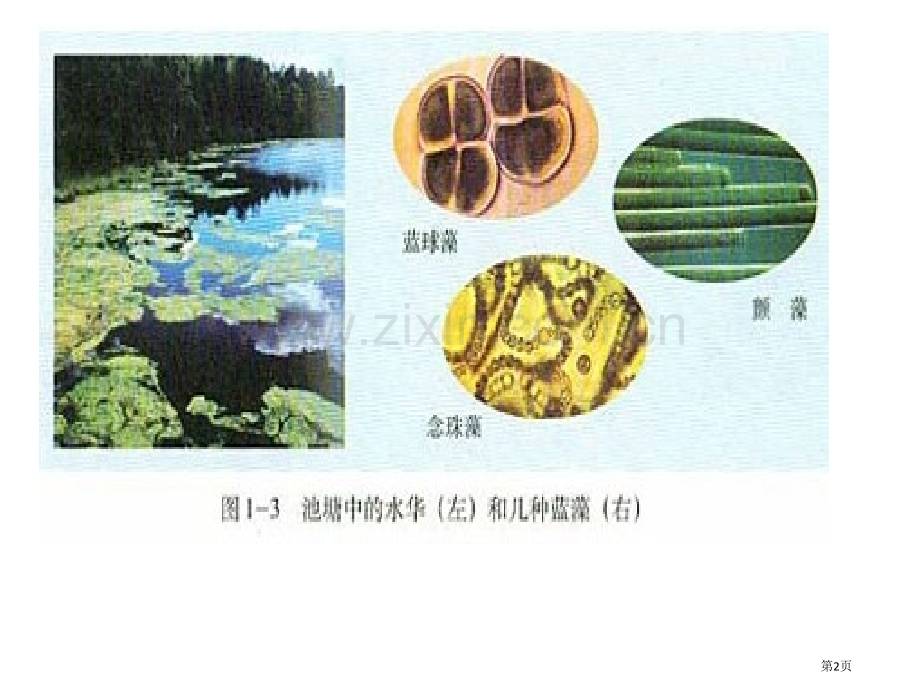 高中生物教材图片清晰省公共课一等奖全国赛课获奖课件.pptx_第2页