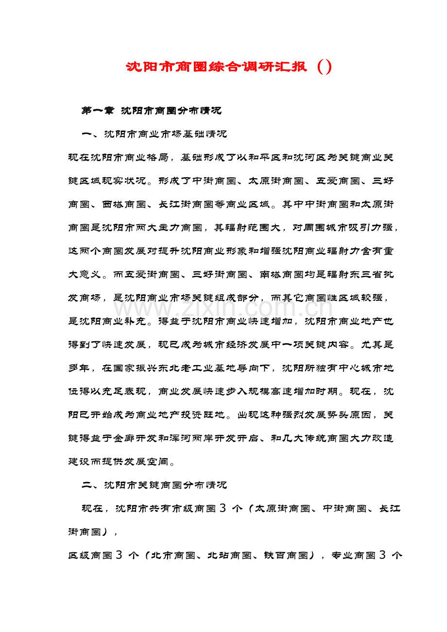 沈阳市商圈综合调研年度报告模板.doc_第1页